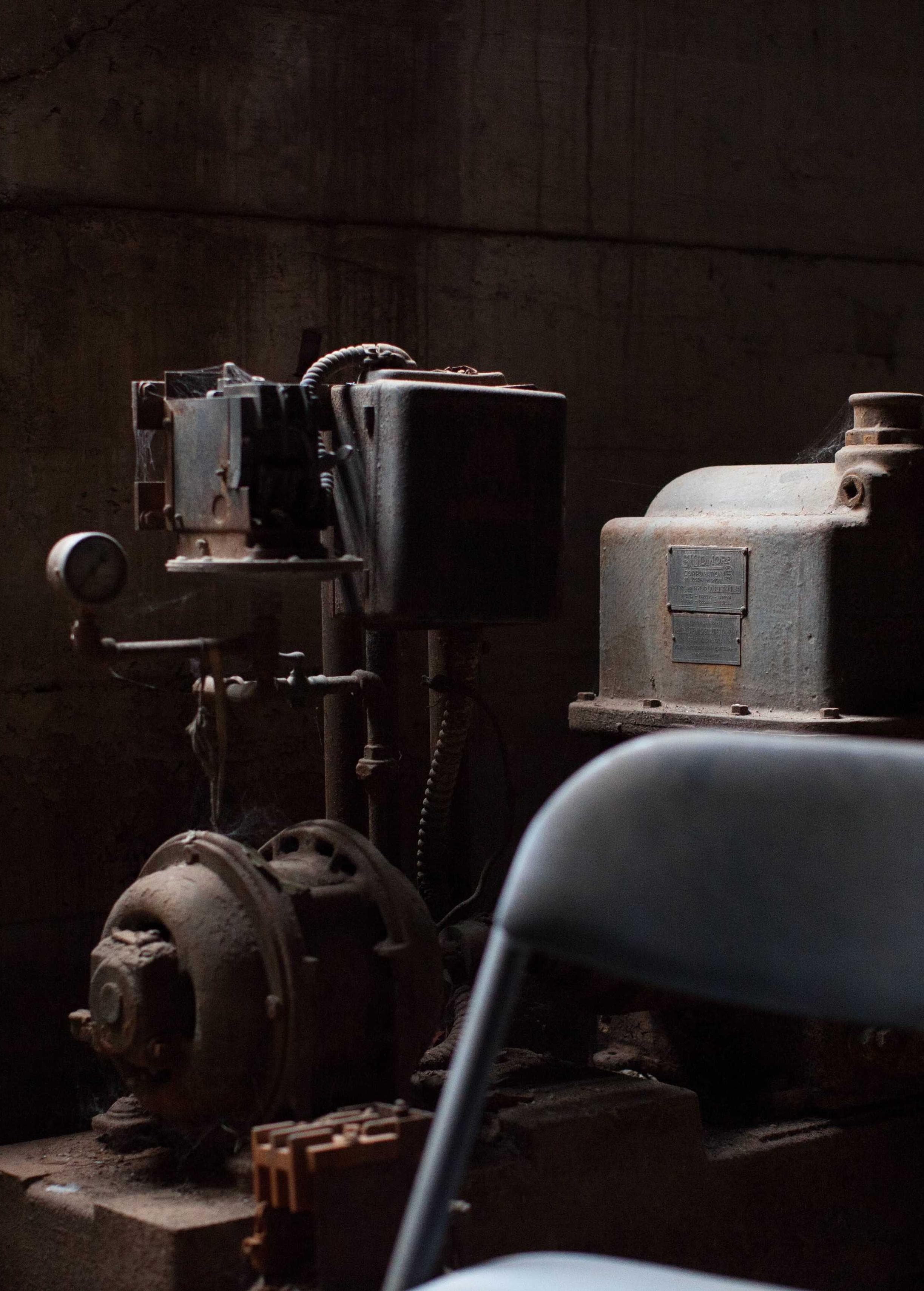 Dog Dance Derby 2026