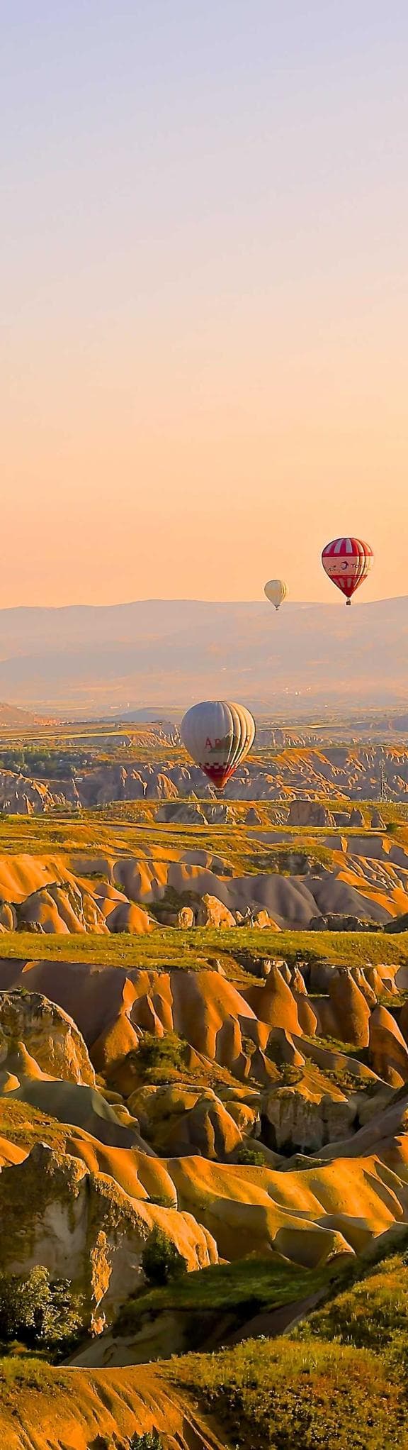 Autumn Festival 2027