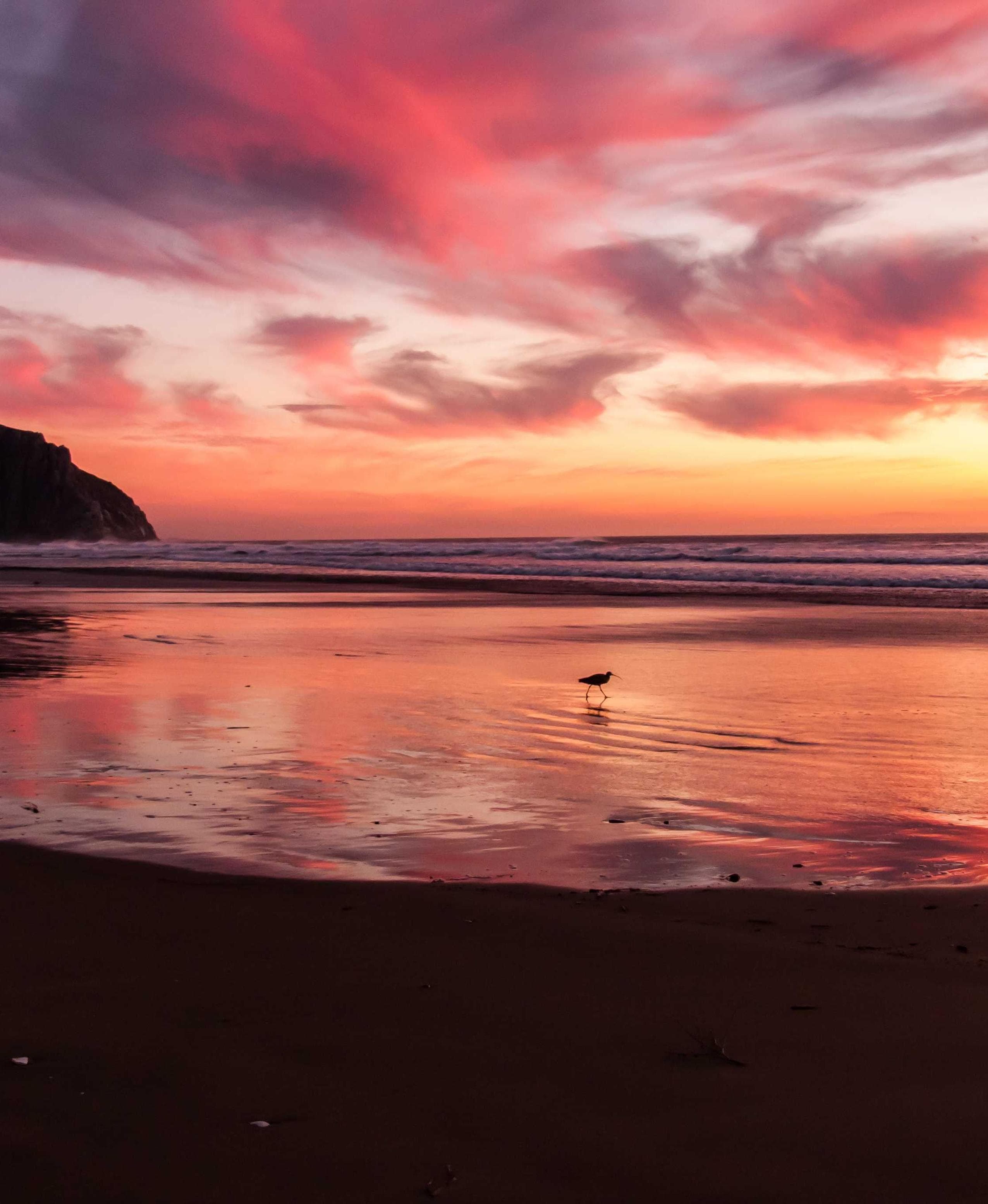 Liverpool Spring Championship 2026