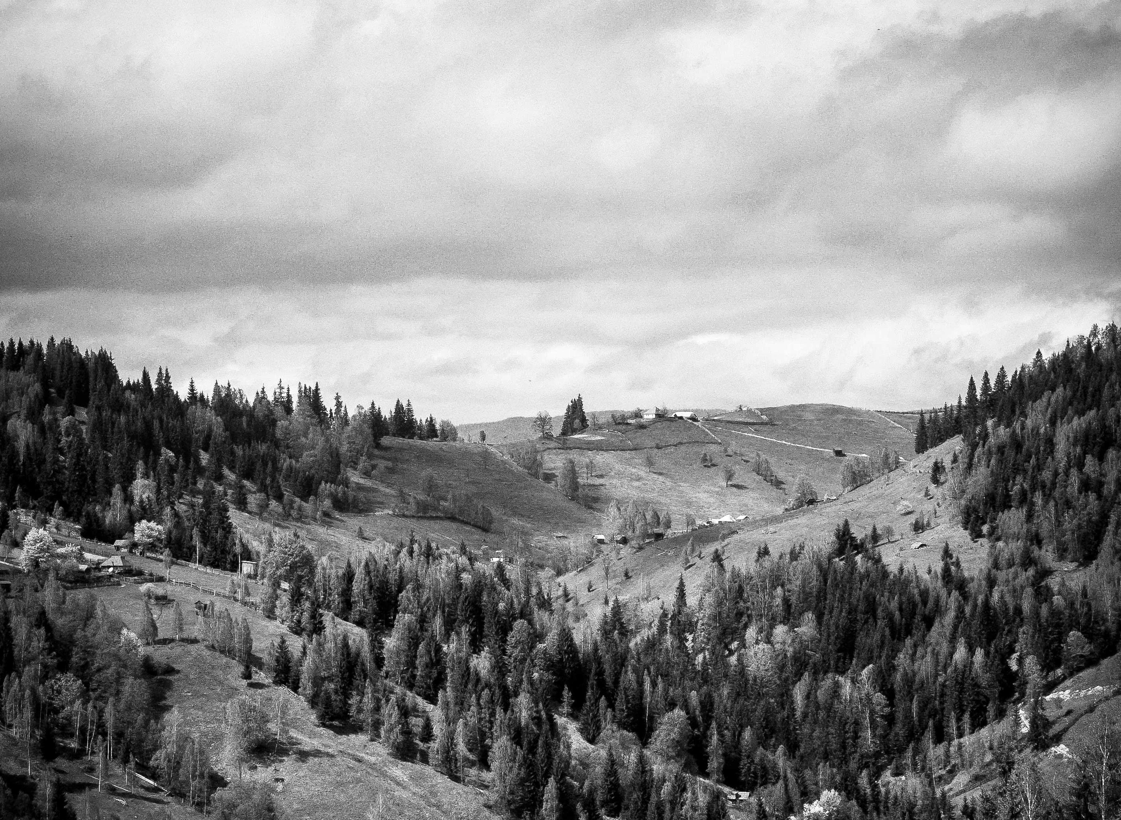 Heelwork Heroes 2027